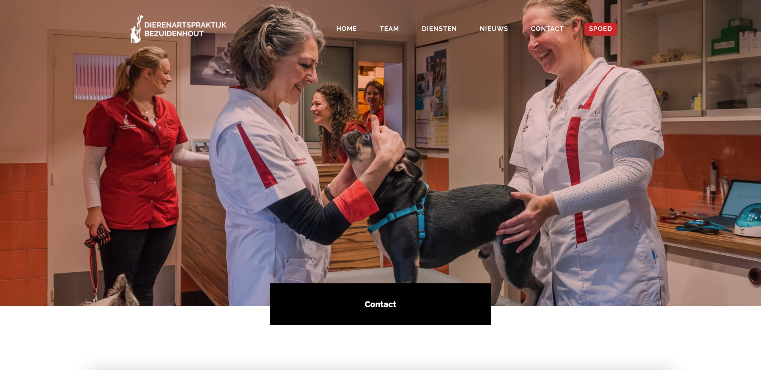 Schermafbeelding website Dierenartspraktijk Bezuidenhout