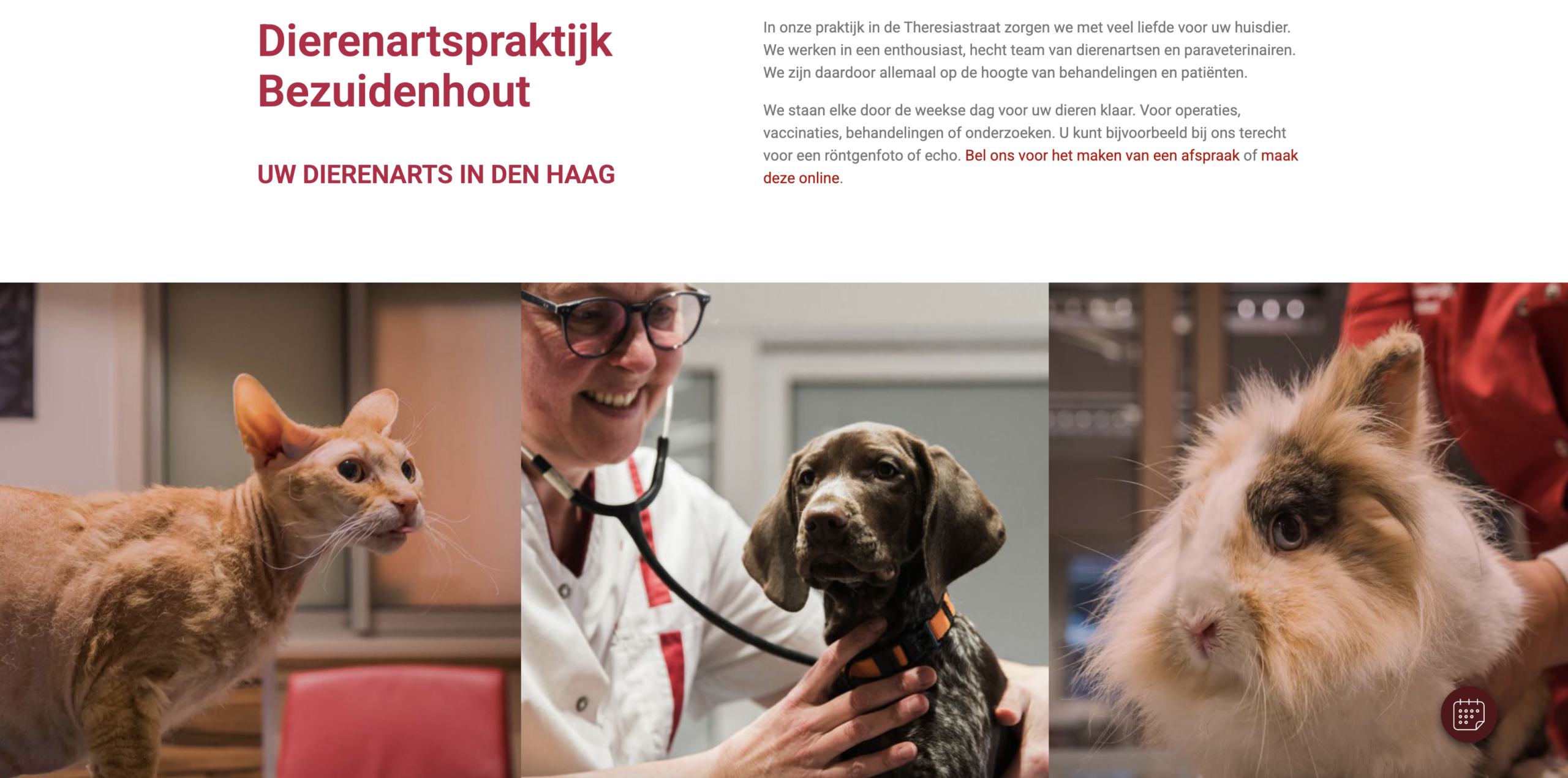 Schermafbeelding website Dierenartspraktijk Bezuidenhout